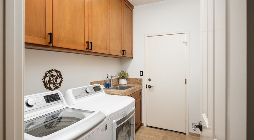 Photo of Hummingbird Dawn