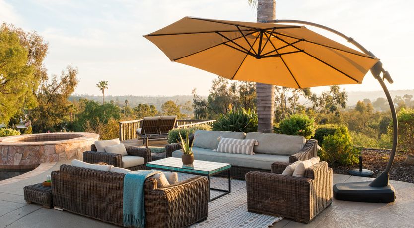 Photo of Hummingbird Dawn