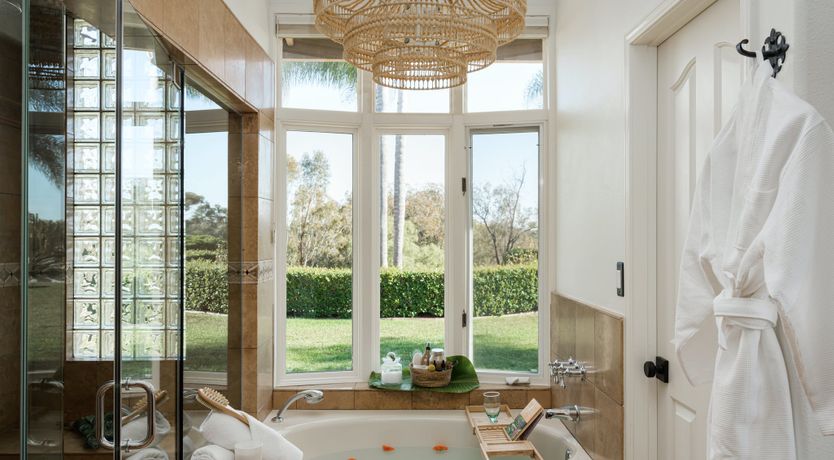 Photo of Hummingbird Dawn