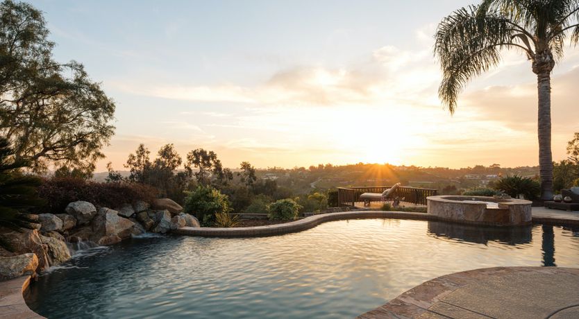 Photo of Hummingbird Dawn