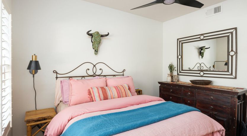 Photo of Hummingbird Dawn