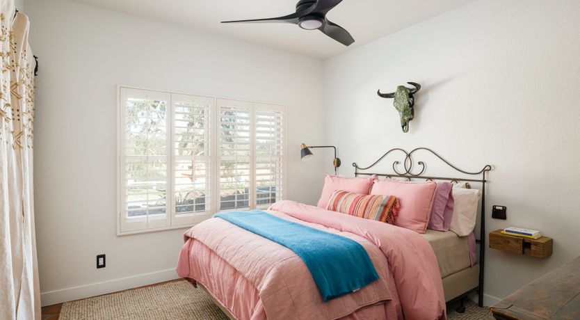 Photo of Hummingbird Dawn