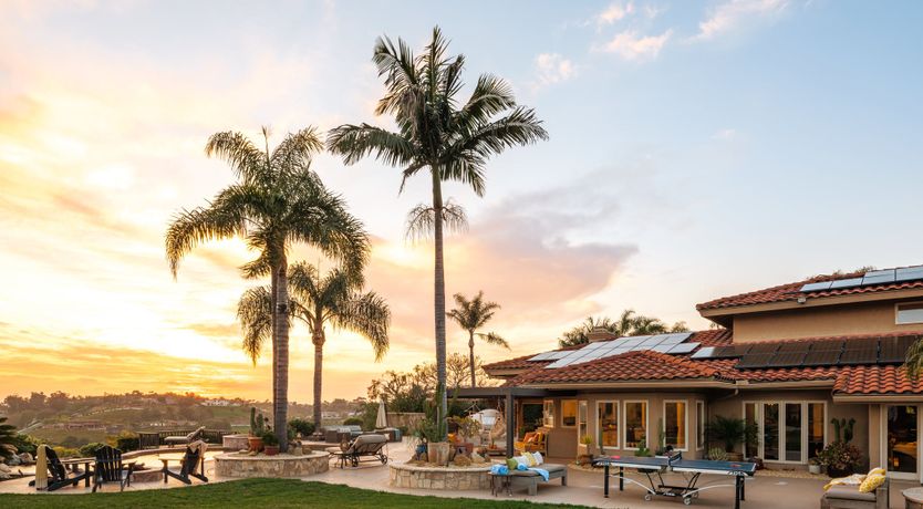 Photo of Hummingbird Dawn