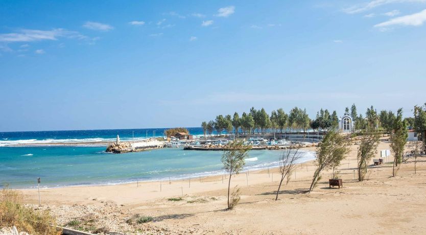 Photo of Moon on the Horizon