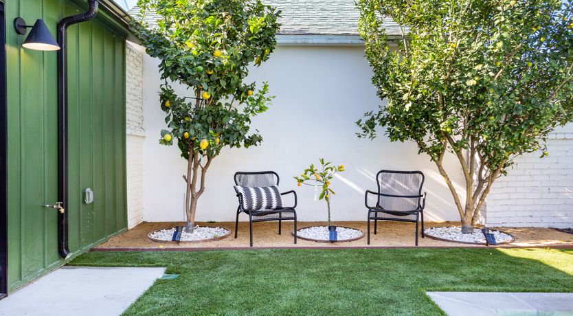 Photo of Los Angeles Dreaming