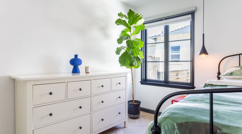 Photo of Los Angeles Dreaming