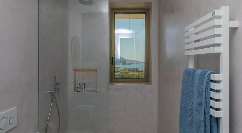 Photo of Grecian Gaze