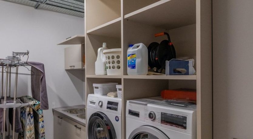 Photo of Grecian Gaze