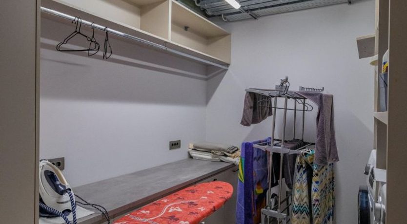 Photo of Grecian Gaze