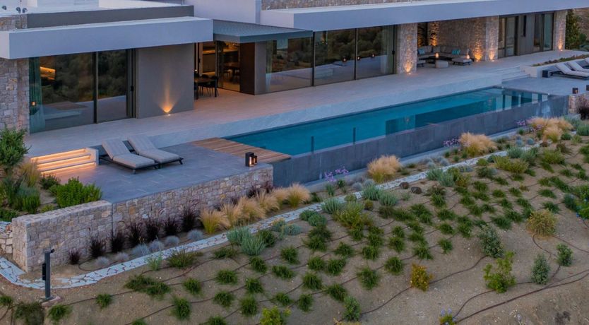 Photo of Grecian Gaze