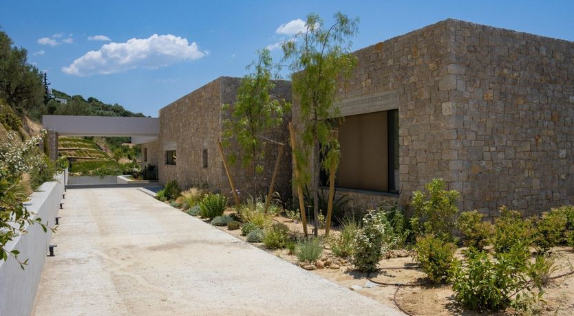 Photo of Grecian Gaze