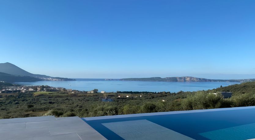 Photo of Grecian Gaze