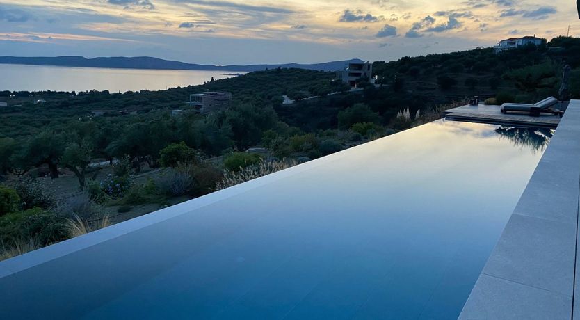 Photo of Grecian Gaze