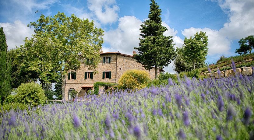 Photo of Tuscan Wisteria