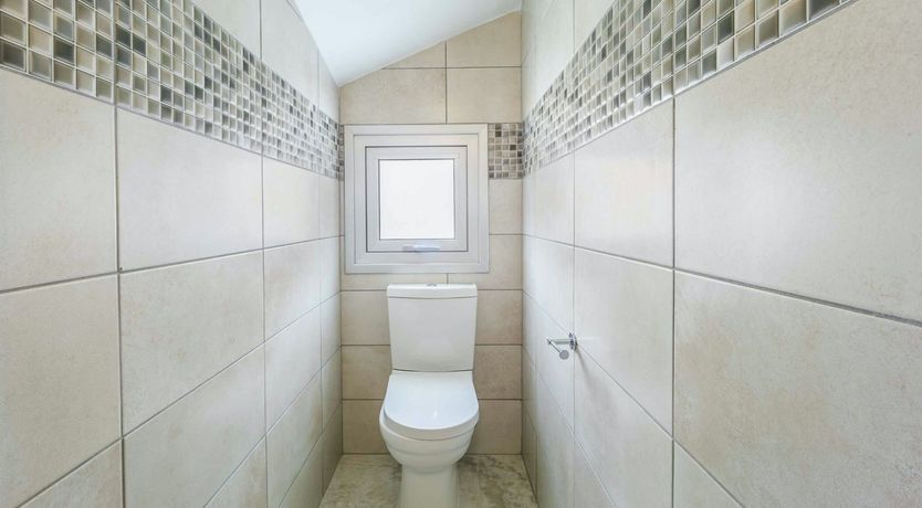 Photo of A Sunbeam's Dream