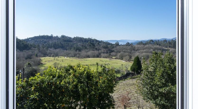 Photo of The Sun Always Shines