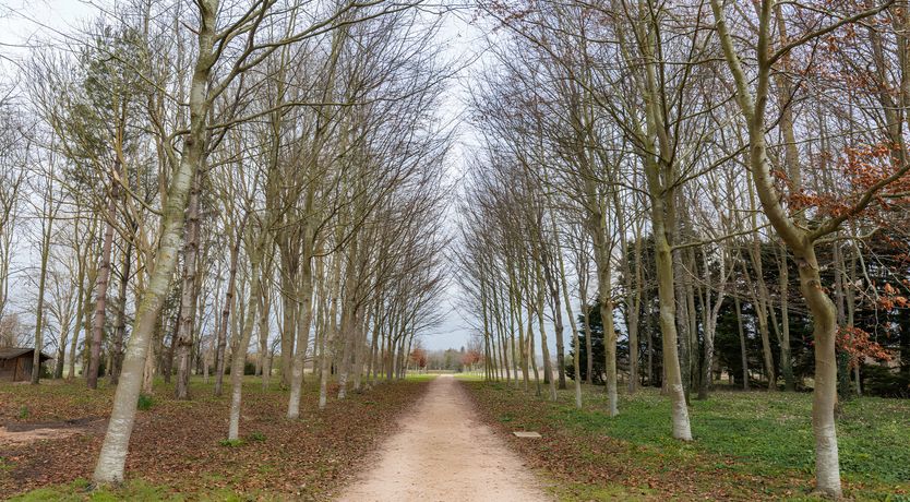 Photo of The Maison Blanche