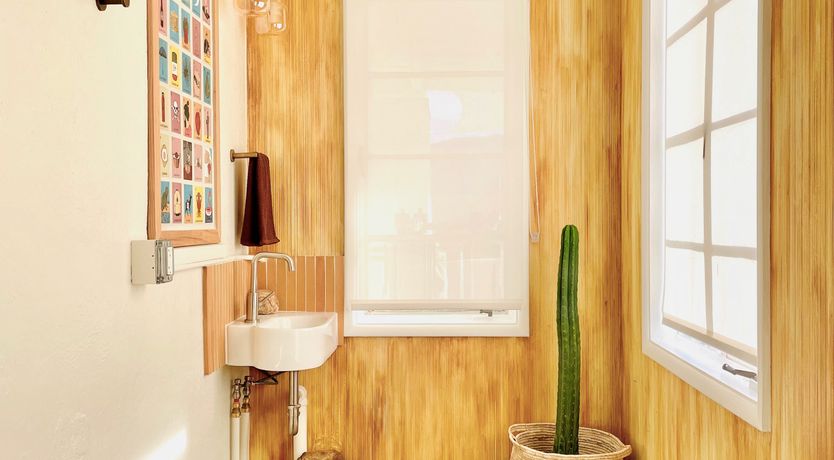 Photo of Desert Muse