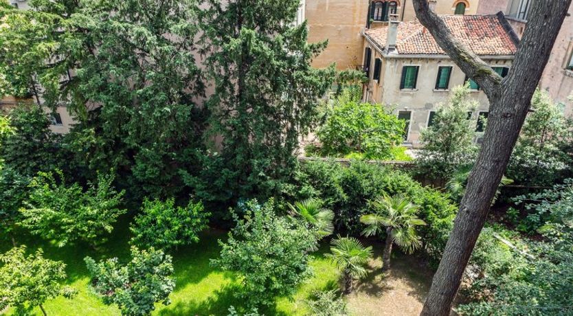 Photo of Venetian Palms