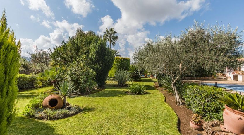 Photo of Under the Mountain Sky