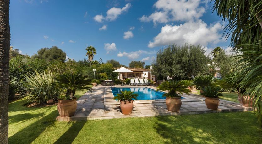 Photo of Under the Mountain Sky