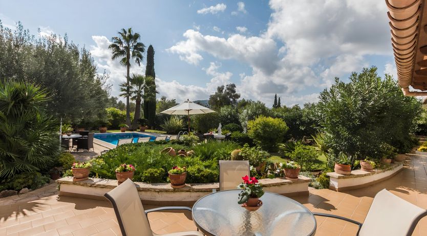 Photo of Under the Mountain Sky