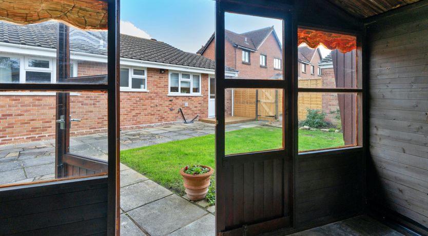 Photo of Aquamarine Orchid