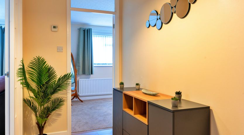 Photo of Aquamarine Orchid