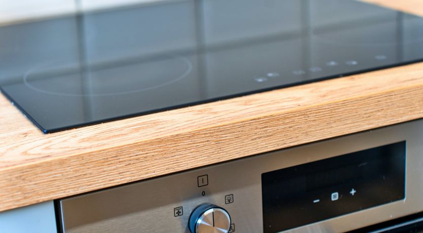 Photo of Aquamarine Orchid