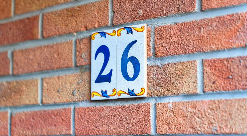 Photo of Aquamarine Orchid