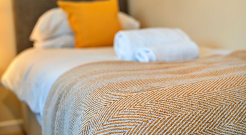 Photo of Aquamarine Orchid