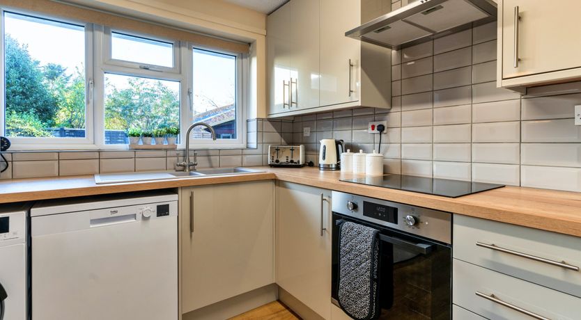 Photo of Aquamarine Orchid