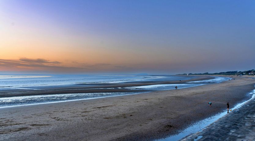 Photo of Aquamarine Orchid