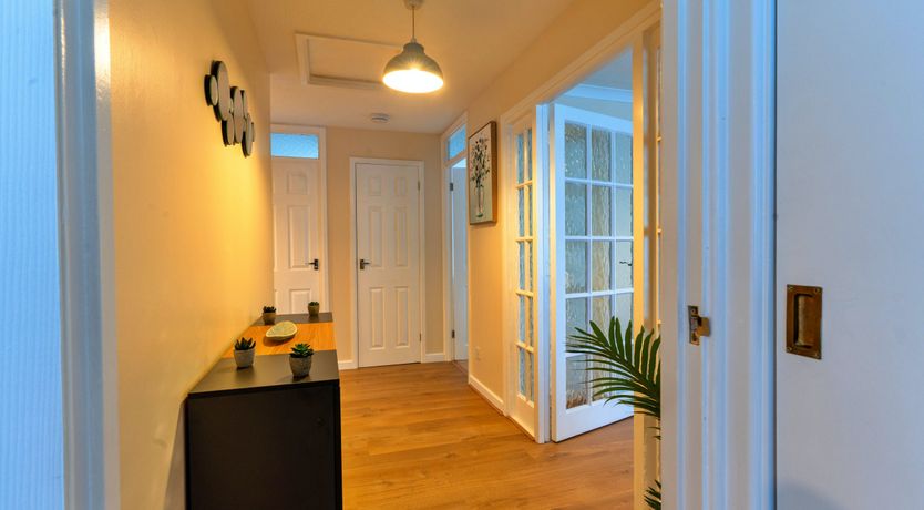 Photo of Aquamarine Orchid