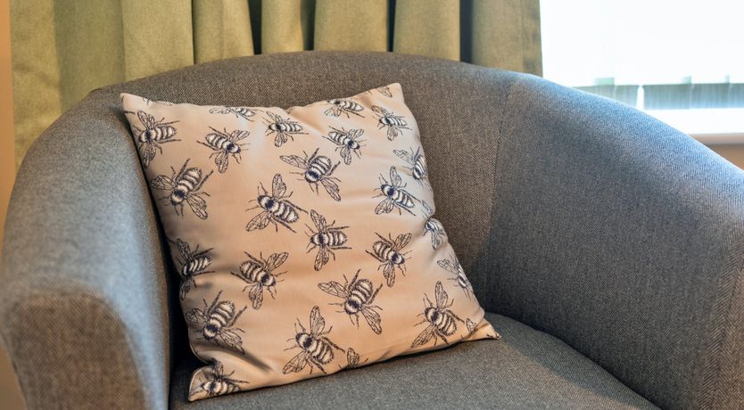 Photo of Aquamarine Orchid