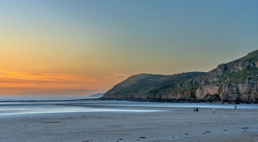 Photo of Aquamarine Orchid