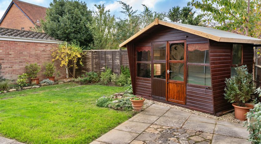 Photo of Aquamarine Orchid