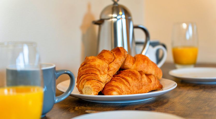 Photo of Aquamarine Orchid