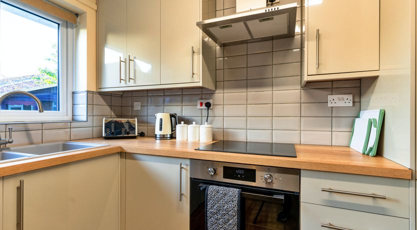 Photo of Aquamarine Orchid