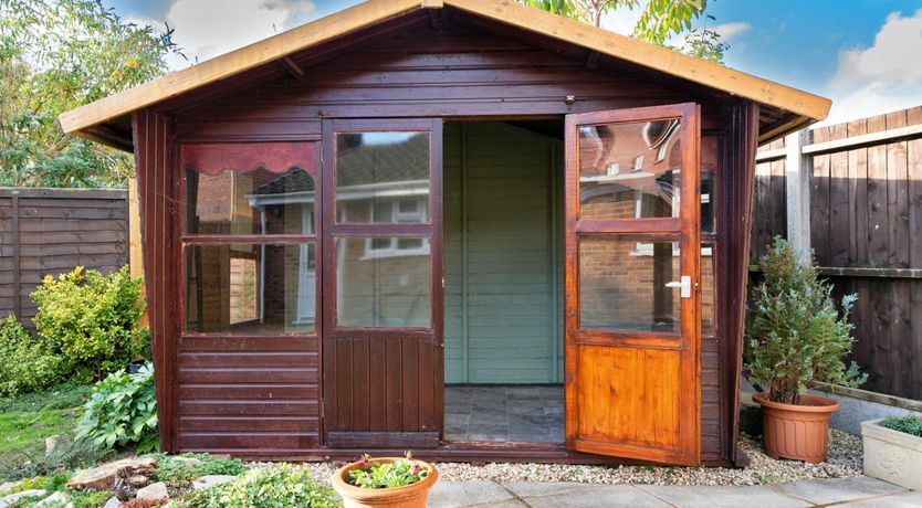 Photo of Aquamarine Orchid