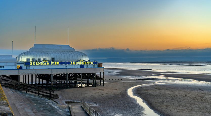 Photo of Aquamarine Orchid