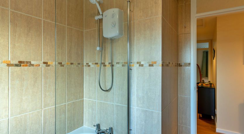 Photo of Aquamarine Orchid