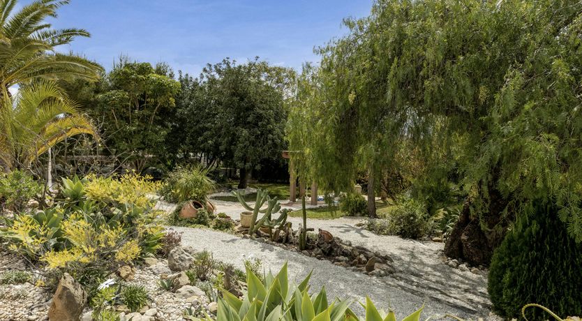 Photo of Shade of the Sun