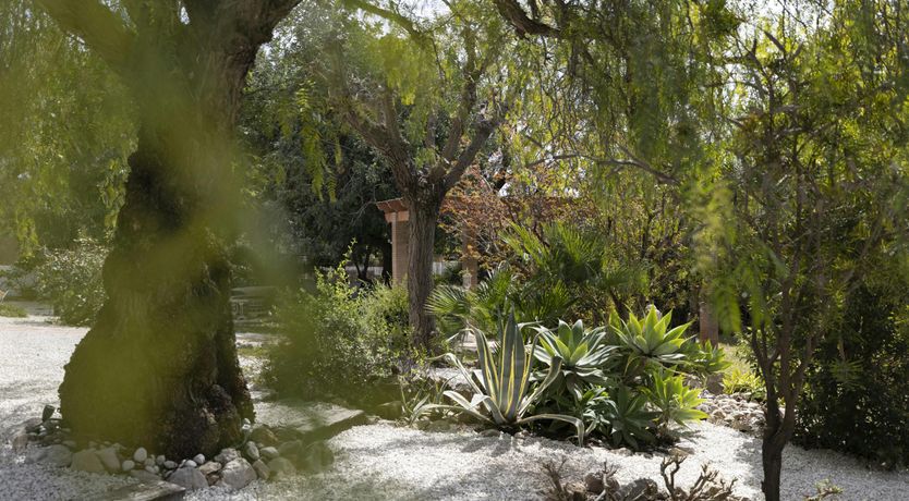 Photo of Shade of the Sun