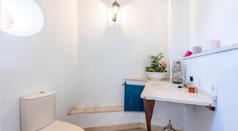 Photo of The Mountain's Garden