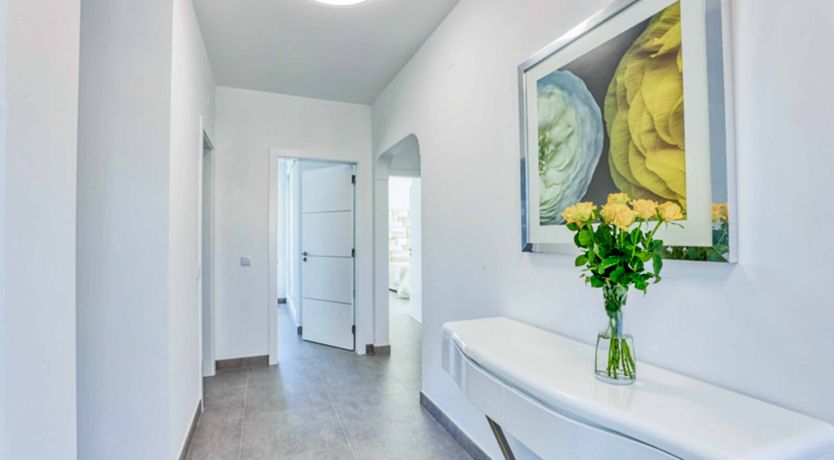 Photo of Siesta Sunlight