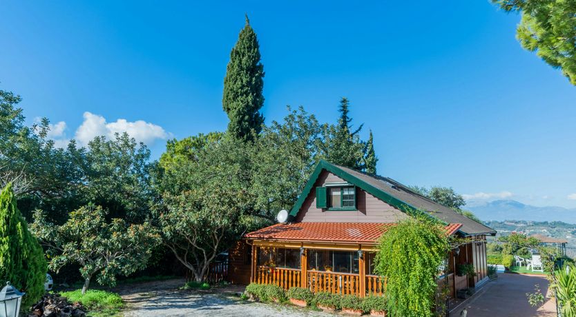 Photo of The Village Pine