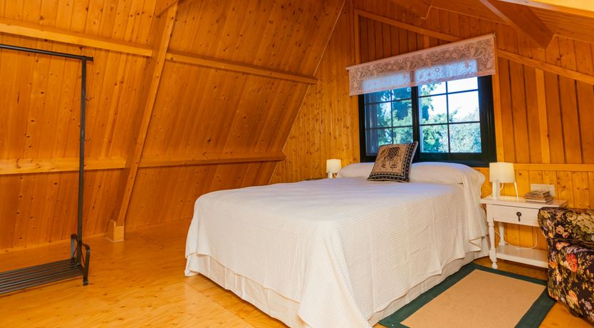 Photo of The Village Pine