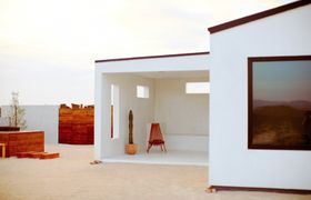 Photo of the-desert-sunflower