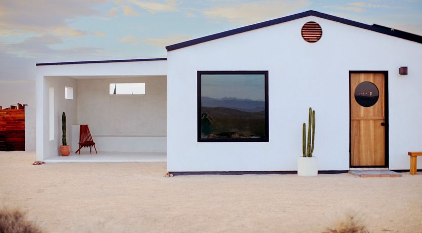 Photo of The Desert Sunflower